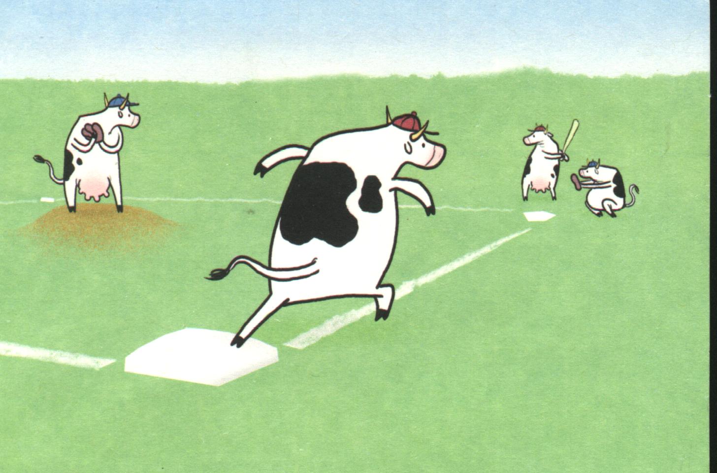 Image result for cows on baseball